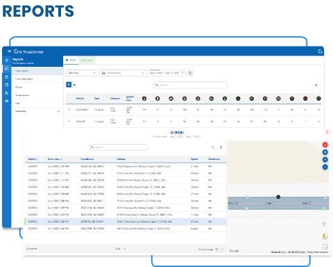 Placeholder reports section